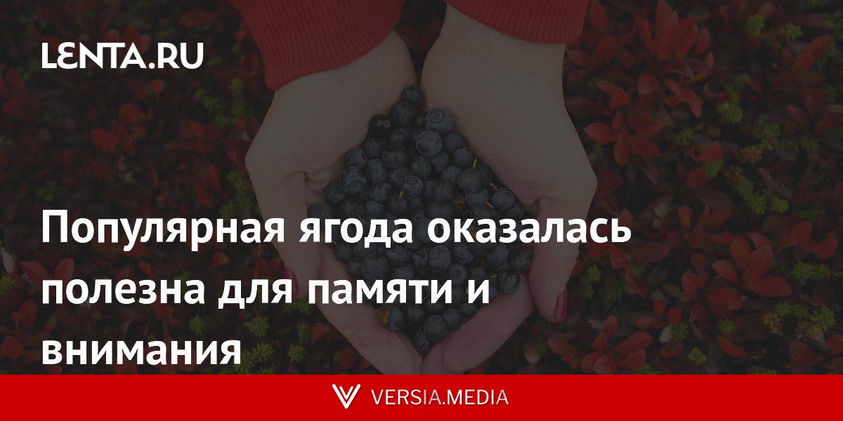 Популярная ягода оказалась полезна для памяти и внимания