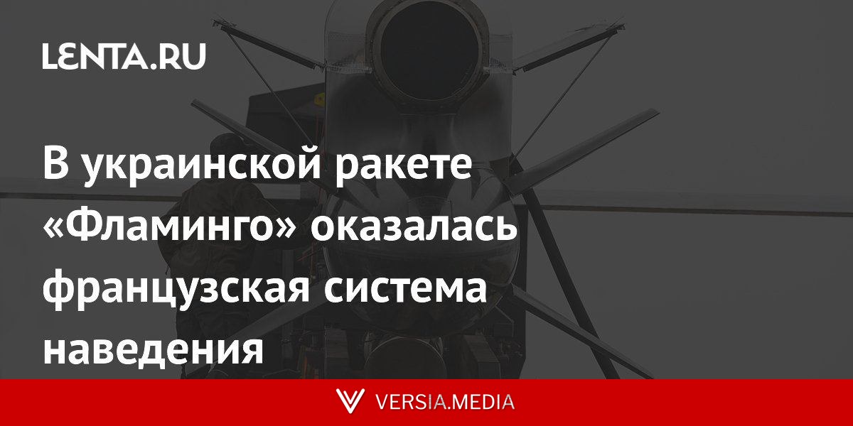 В украинской ракете «Фламинго» оказалась французская система наведения