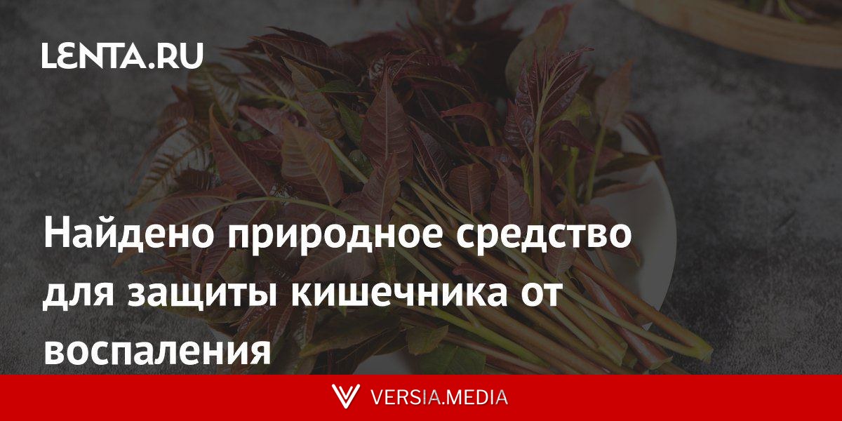 Найдено природное средство для защиты кишечника от воспаления