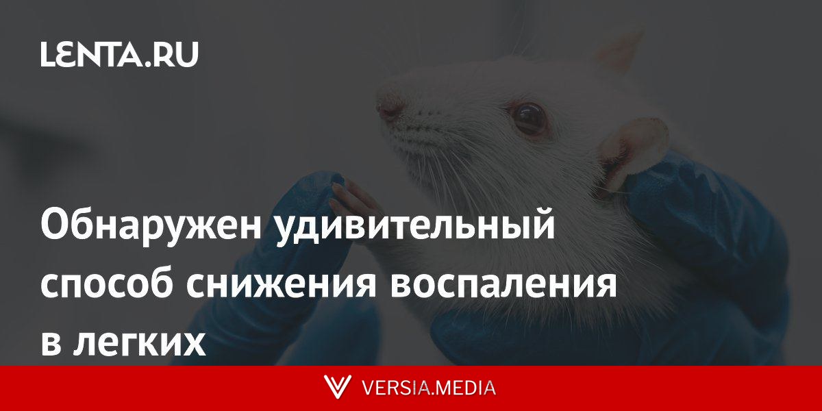 Обнаружен удивительный способ снижения воспаления в легких
