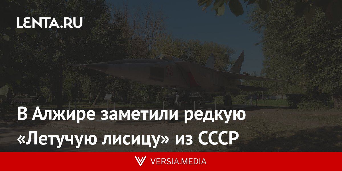 В Алжире заметили редкую «Летучую лисицу» из СССР