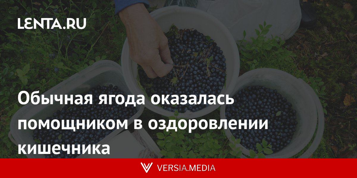 Обычная ягода оказалась помощником в оздоровлении кишечника