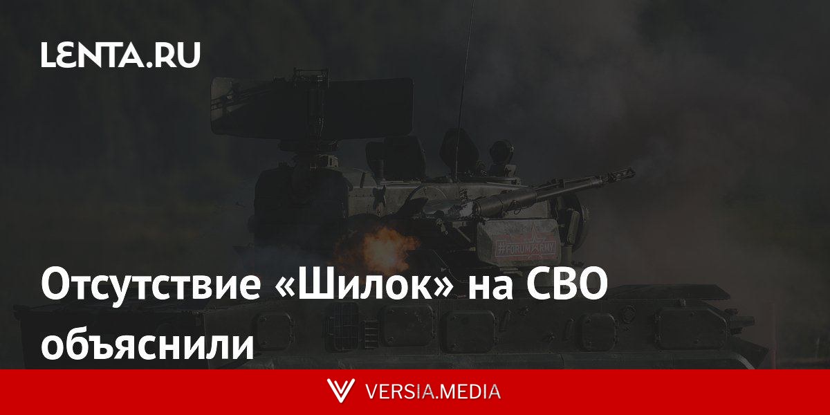 Отсутствие «Шилок» на СВО объяснили