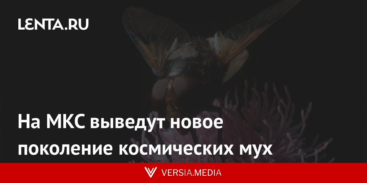 На МКС выведут новое поколение космических мух