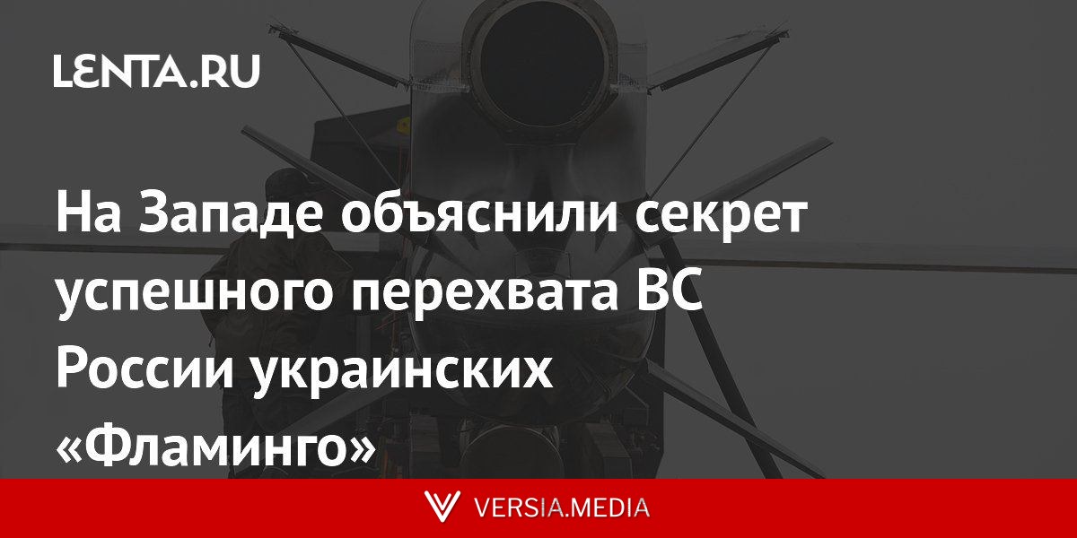 На Западе объяснили секрет успешного перехвата ВС России украинских «Фламинго»