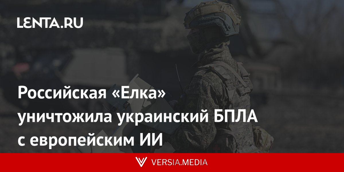 Российская «Елка» уничтожила украинский БПЛА с европейским ИИ