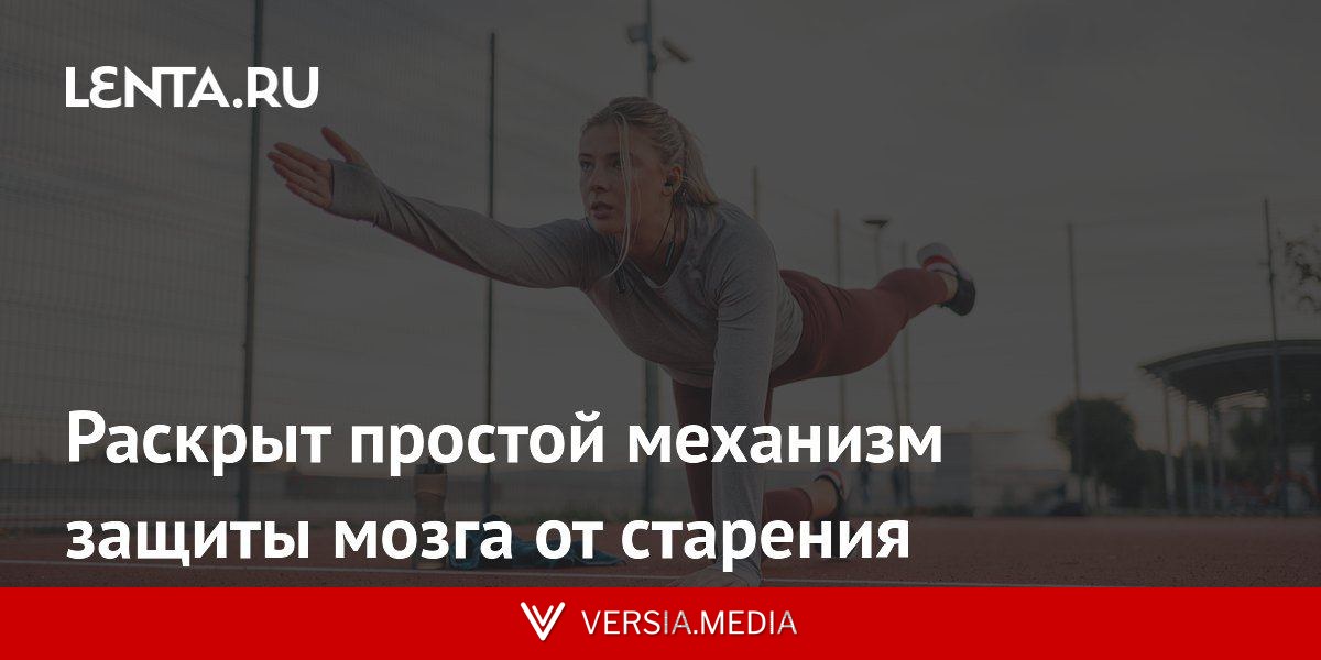 Раскрыт простой механизм защиты мозга от старения