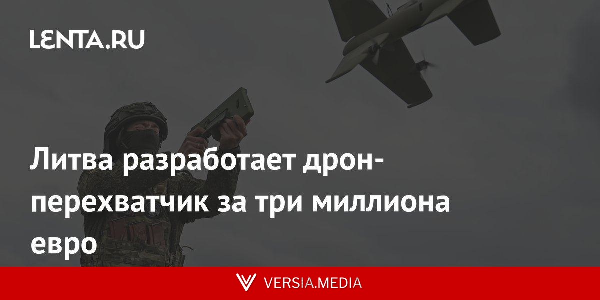Литва разработает дрон-перехватчик за три миллиона евро
