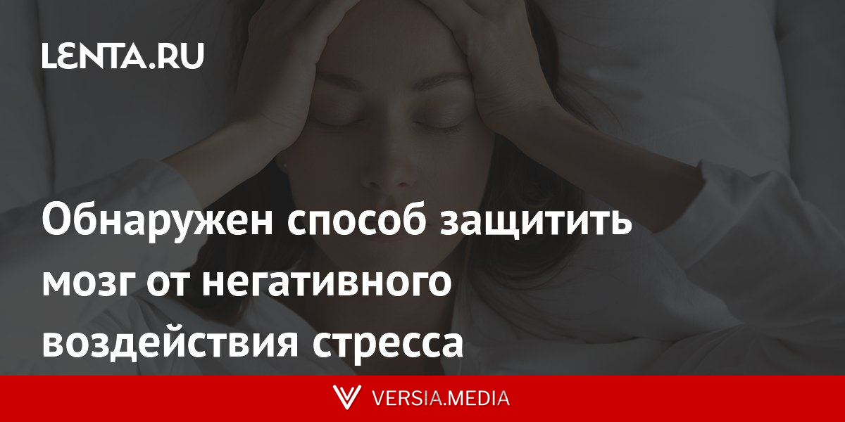 Обнаружен способ защитить мозг от негативного воздействия стресса