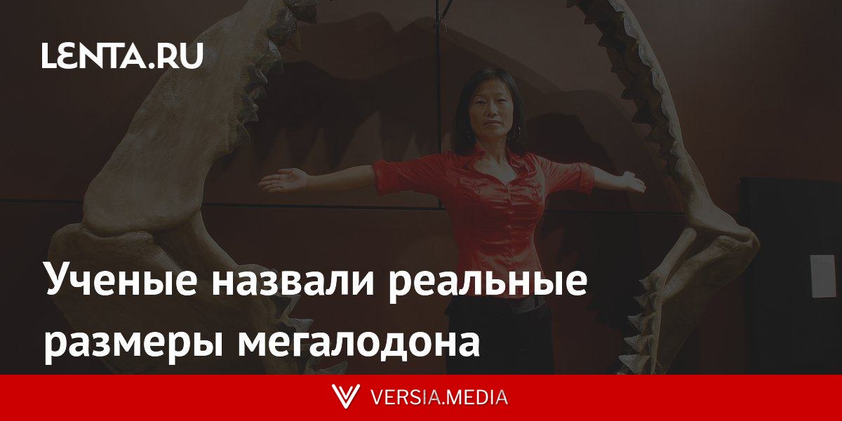Ученые назвали реальные размеры мегалодона