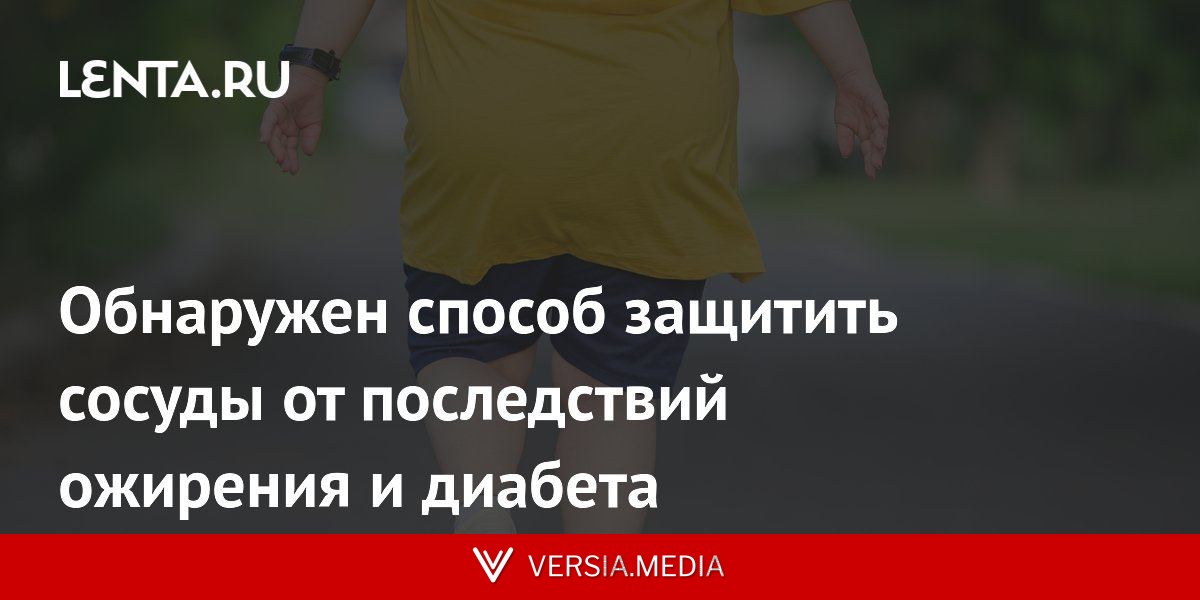Обнаружен способ защитить сосуды от последствий ожирения и диабета